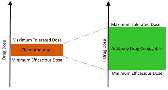 Graphical representation of therapeutic windows for chemotherapy and ADCs