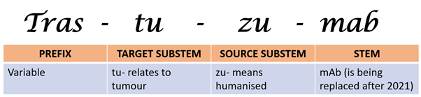 The name Trastuzumab can be broken down into Tras (variable), tu (relating to tumour), zu (humanised), mab (monoclonal antibody)